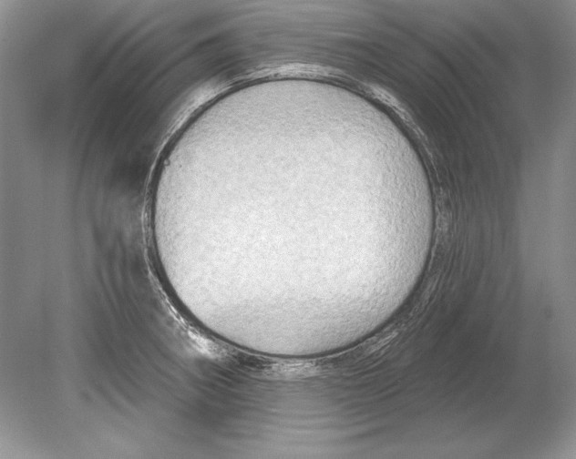 X0000078891282200612111756