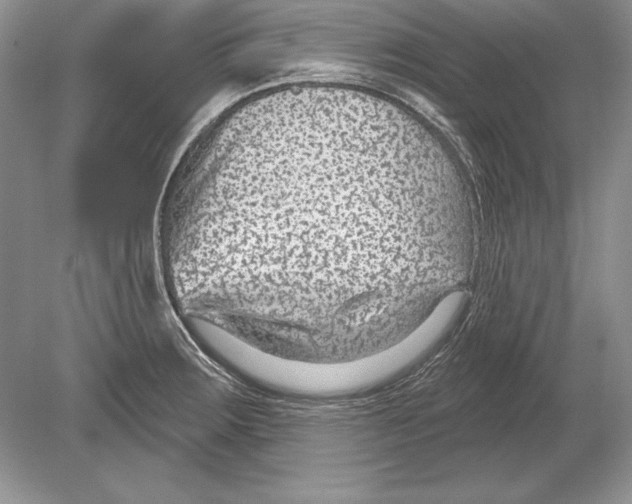 X0000078891283200612111756