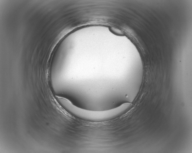 X0000078891284200612111756