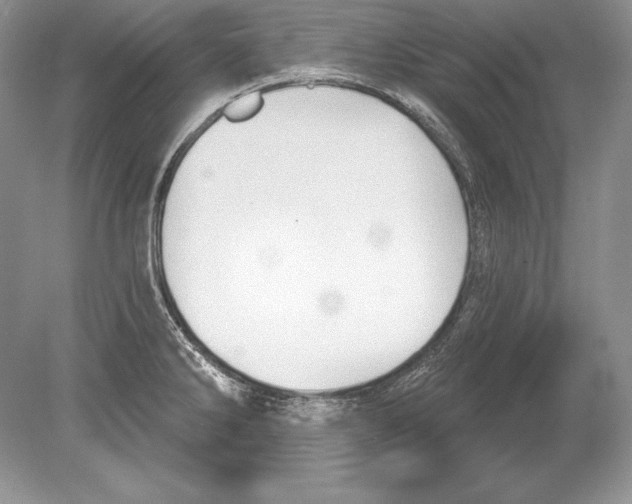 X0000078891286200612111756