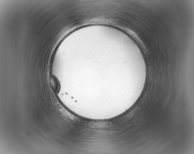 X0000078891288200612111755