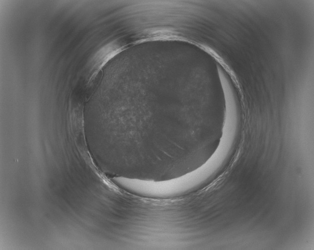 X0000078891289200612111755