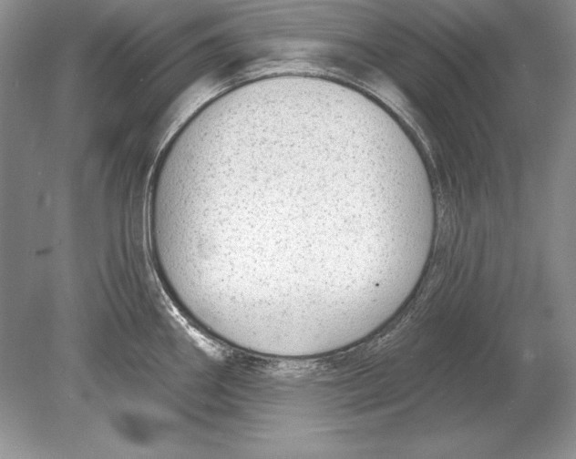 X0000078891290200612111755