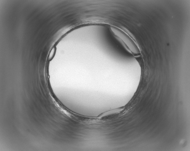 X0000078891293200612111755