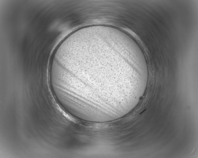 X0000078891294200612111755