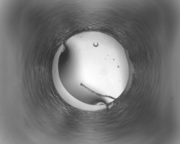 X0000078891298200612111755