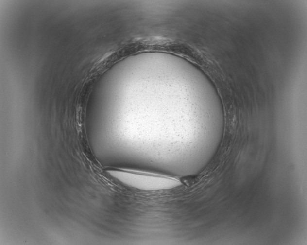 X0000078891301200612111755