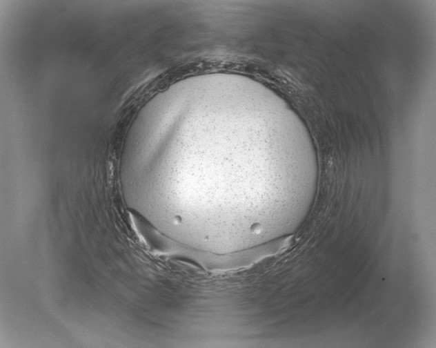 X0000078891302200612111755