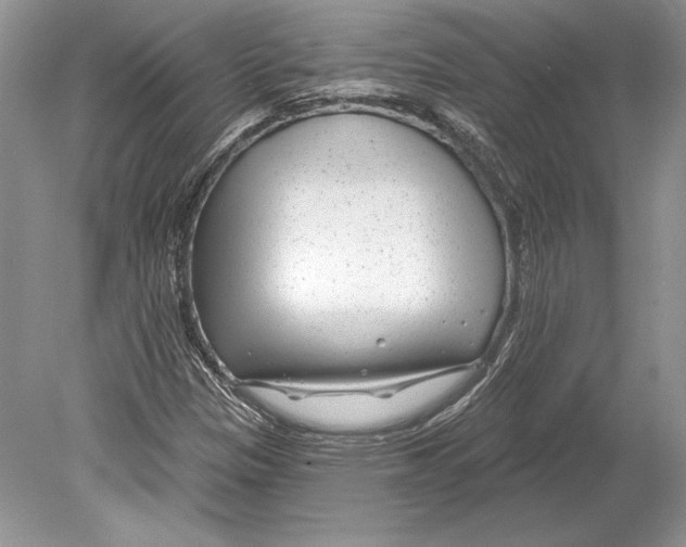 X0000078891305200612111755