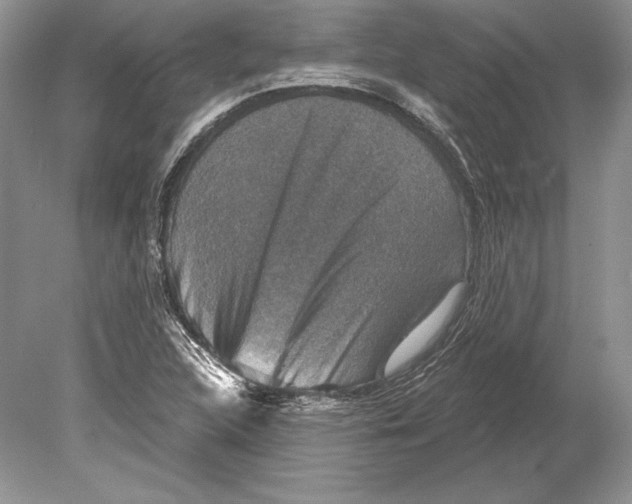 X0000078891312200612111755