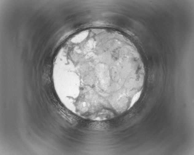 X0000078891314200612111755