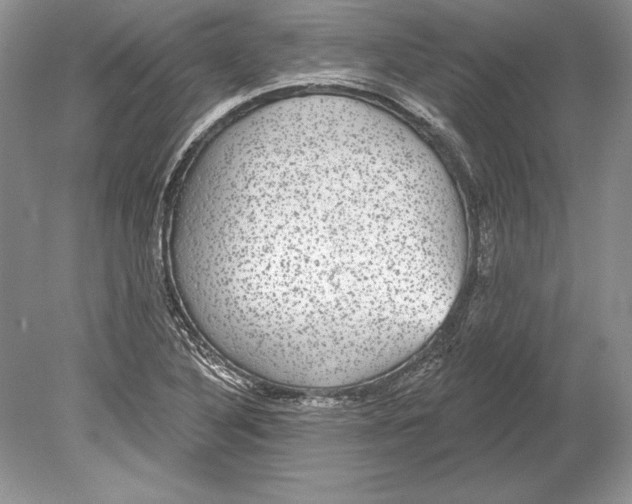 X0000078891316200612111755