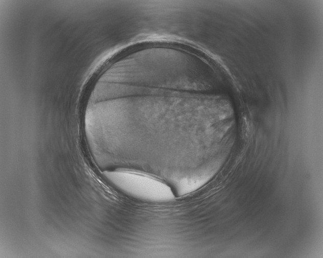 X0000078891319200612111755