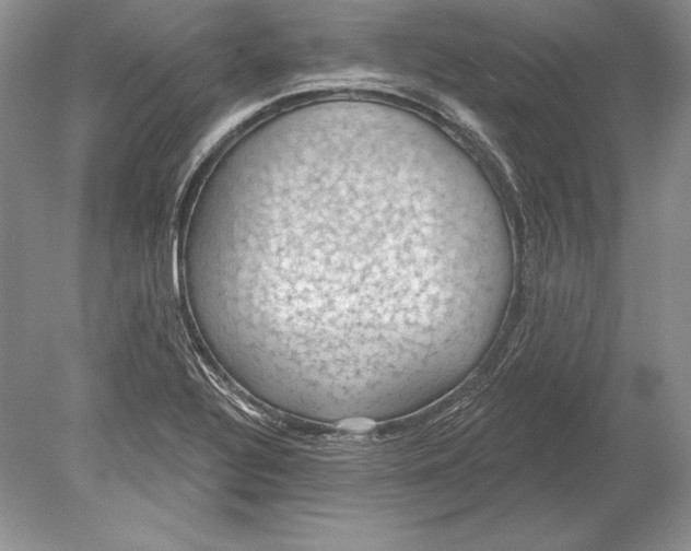 X0000078891320200612111755