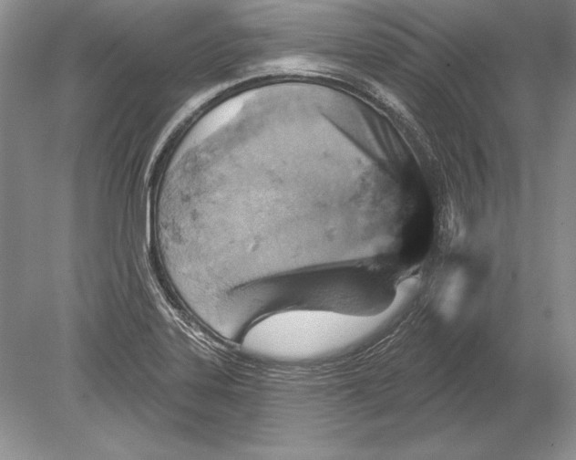 X0000078891323200612111755