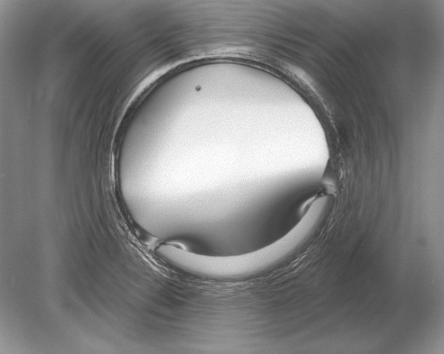 X0000078891324200612111755