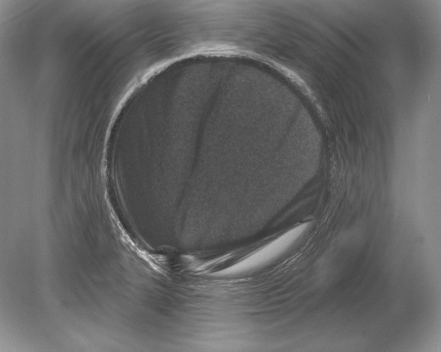 X0000078891327200612111755