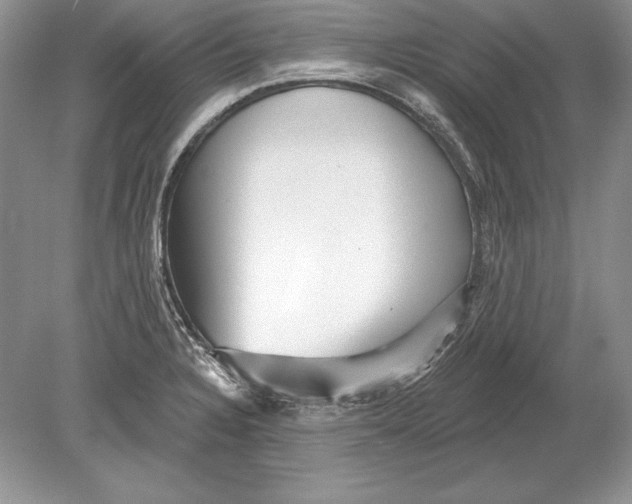 X0000078891328200612111755