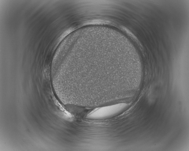 X0000078891329200612111755