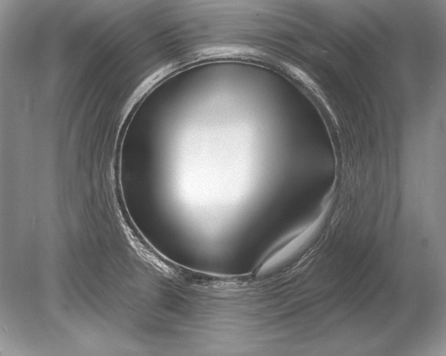 X0000078891330200612111755