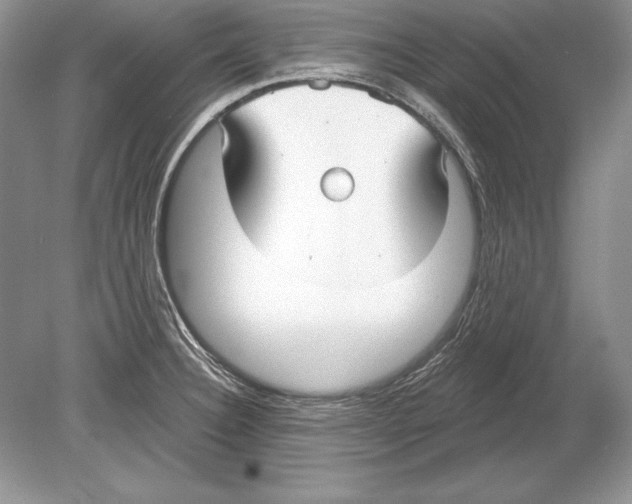 X0000078891332200612111755