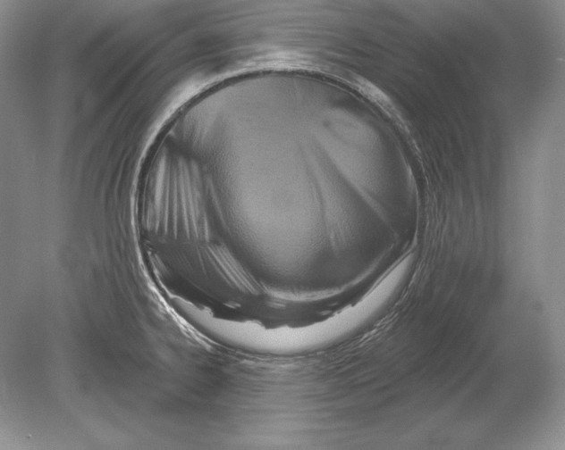 X0000078891334200612111755