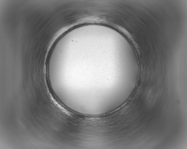 X0000078891335200612111755