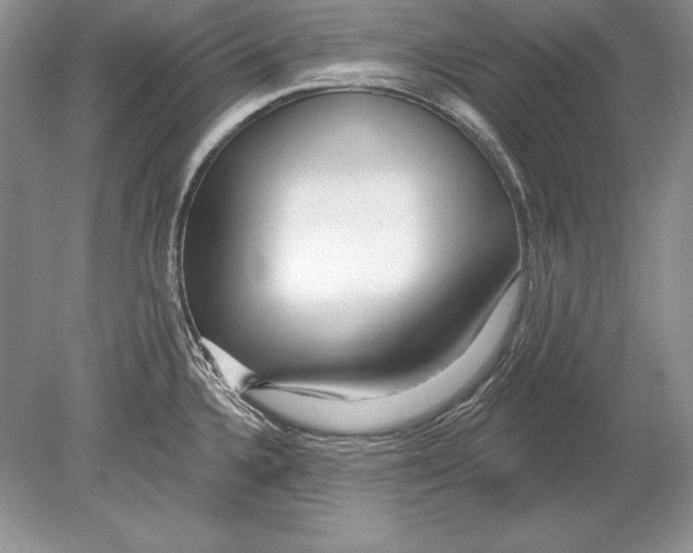 X0000078891336200612111755