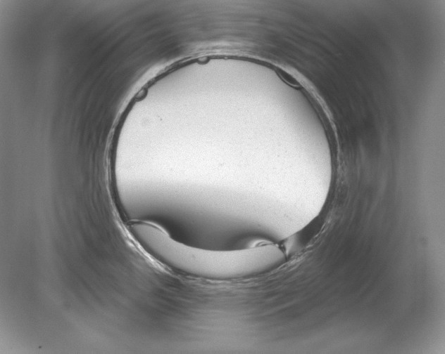 X0000078891341200612111755