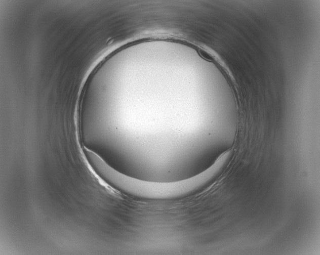 X0000078891343200612111755