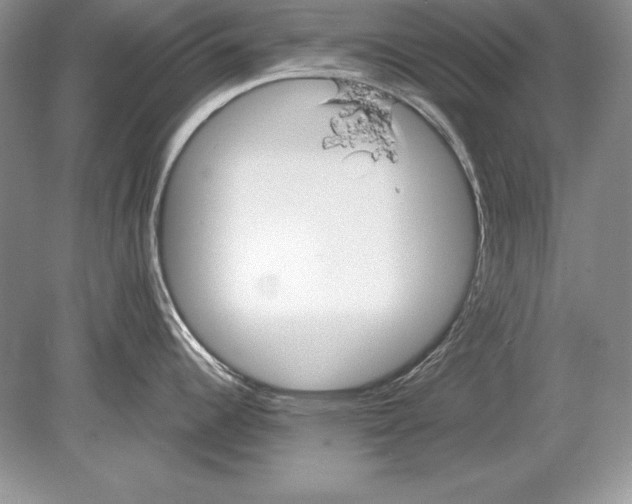 X0000078891344200612111755