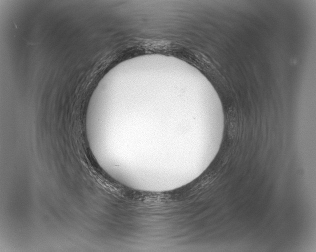 X0000078891345200612111755