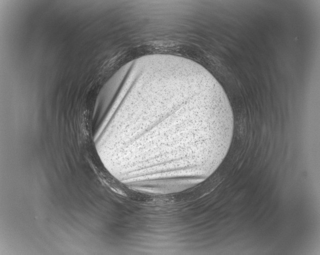 X0000078891346200612111755