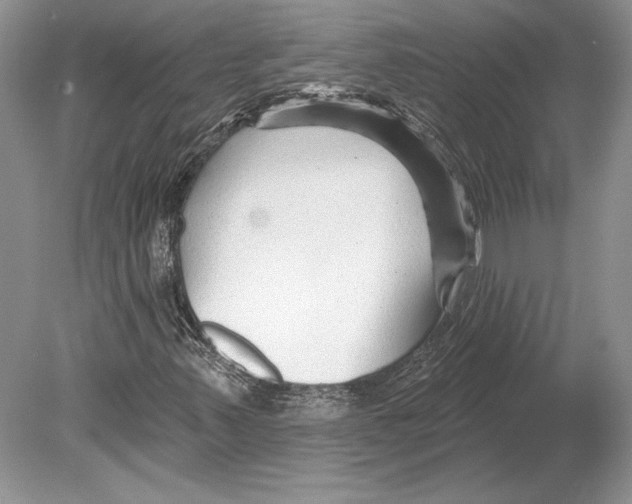 X0000078891347200612111754