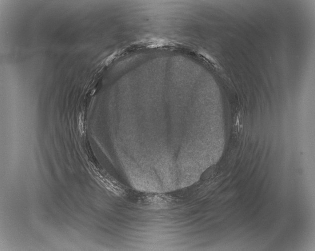 X0000078891348200612111754