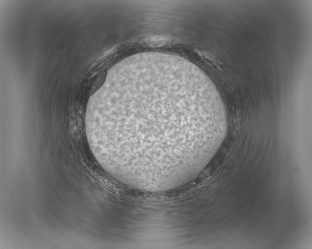 X0000078891349200612111754