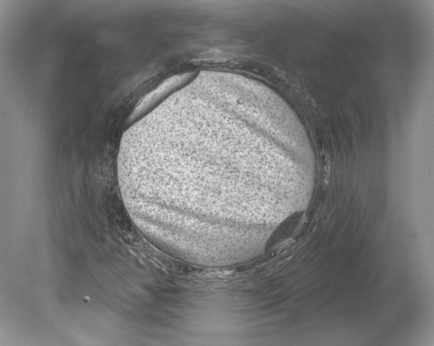 X0000078891350200612111754