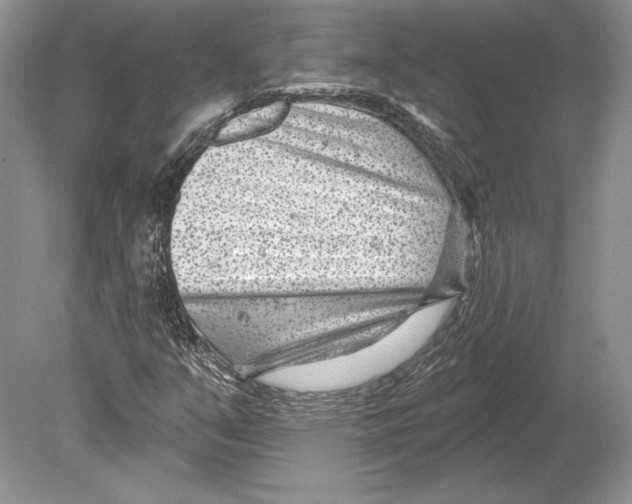 X0000078891351200612111754