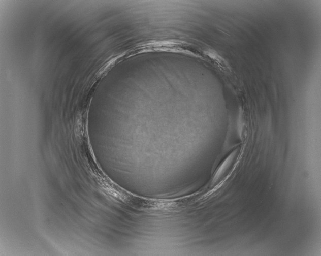 X0000078891353200612111754