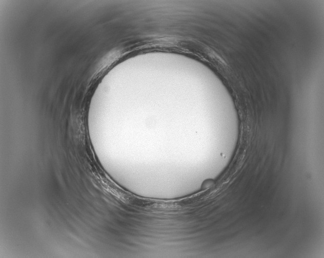 X0000078891354200612111754