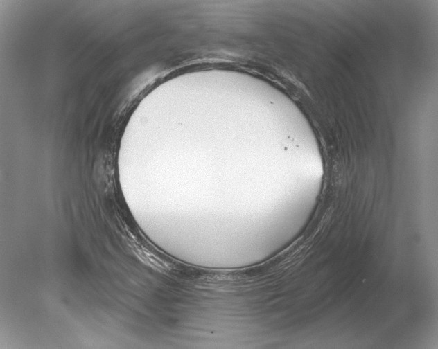 X0000078891355200612111754