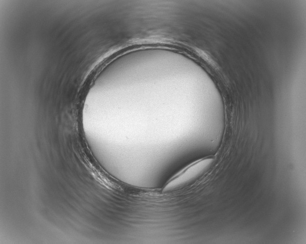 X0000078891356200612111754