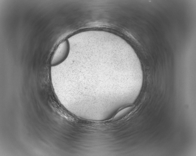 X0000078891358200612111754