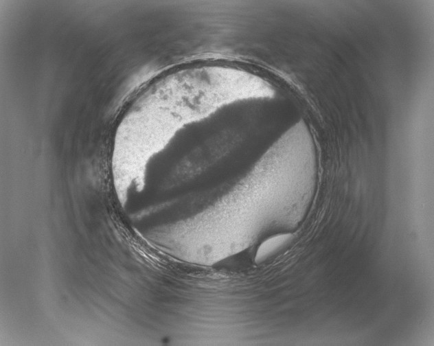 X0000078891359200612111754