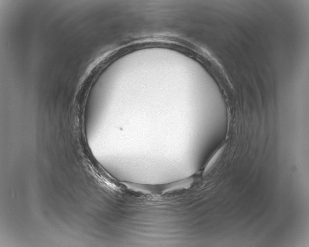 X0000078891360200612111754