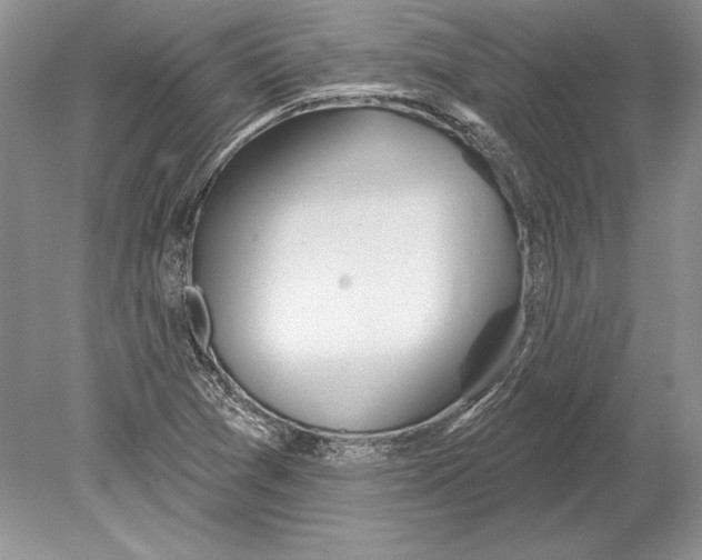 X0000078891361200612111754