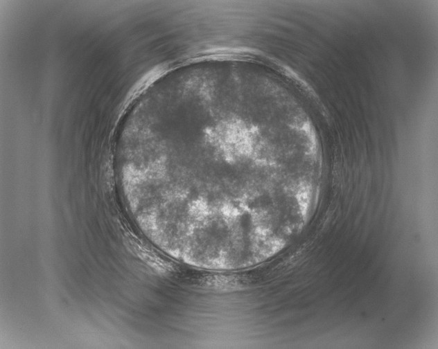 X0000078891362200612111754