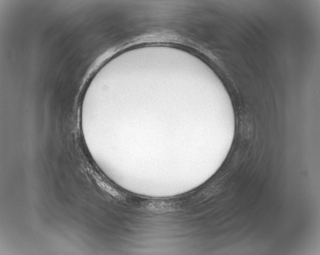 X0000078891366200612111754