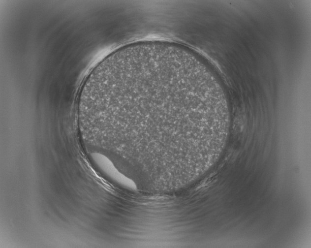 X0000078891367200612111754