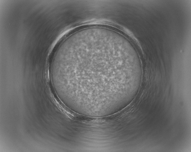 X0000078891368200612111754